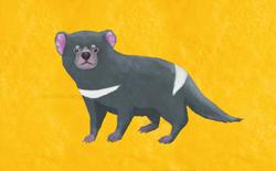 動物イラスト。