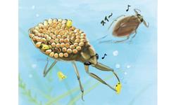 動物のリアルなコミカルイラスト。