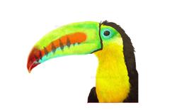 動物イラスト。